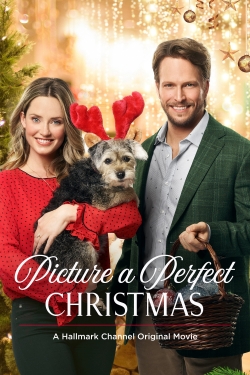 Watch free Picture a Perfect Christmas movies online