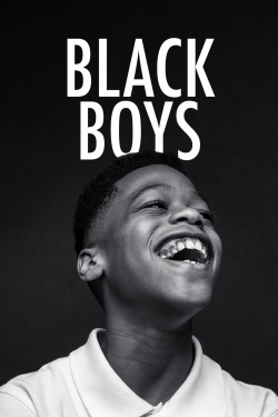 Watch free Black Boys movies online