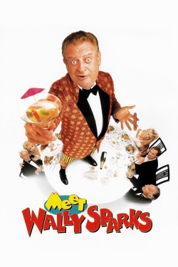 Watch free Meet Wally Sparks movies online