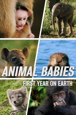 Watch free Animal Babies: First Year On Earth movies online