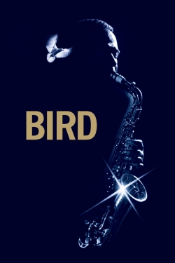 Watch free Bird movies online