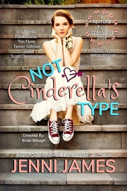 Watch free Not Cinderella's Type movies online