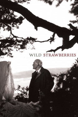 Watch free Wild Strawberries movies online