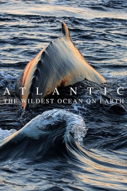 Watch free Atlantic: The Wildest Ocean on Earth movies online