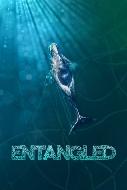 Watch free Entangled: The Race to Save Right Whales from Extinction movies online