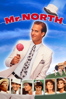 Watch free Mr. North movies online