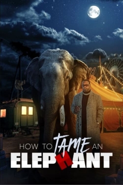 Watch free How To Tame An Elephant movies online