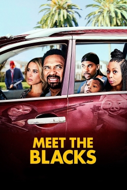 Watch free Meet the Blacks movies online