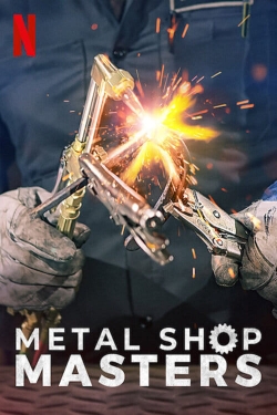 Watch free Metal Shop Masters movies online