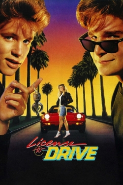 Watch free License to Drive movies online