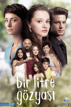 Watch free Bir Litre Gözyaşı movies online