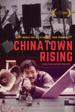 Watch free Chinatown Rising movies online