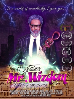 Watch free The Mysterious Mr. Wizdom movies online