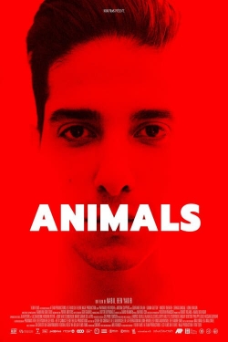 Watch free Animals movies online