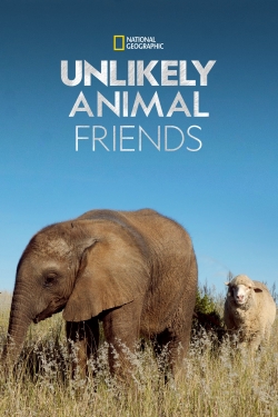 Watch free Unlikely Animal Friends movies online