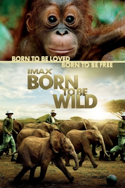 Watch free Born to Be Wild movies online