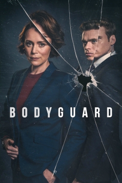 Watch free Bodyguard movies online