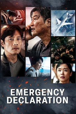 Watch free Emergency Declaration movies online