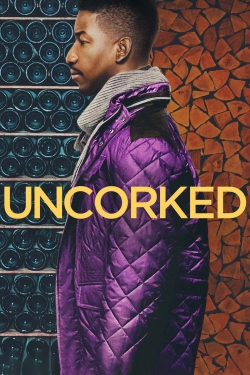 Watch free Uncorked movies online