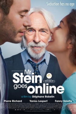 Watch free Mr. Stein Goes Online movies online