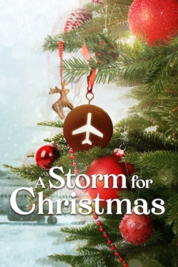 Watch free A Storm for Christmas movies online