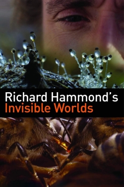 Watch free Richard Hammond's Invisible Worlds movies online