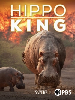 Watch free Hippo King movies online