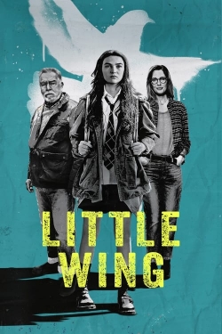 Watch free Little Wing movies online