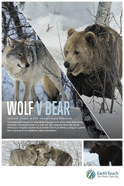 Watch free Wolf vs Bear movies online