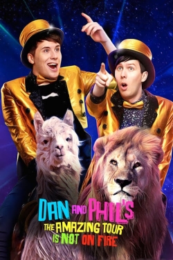 Watch free Dan and Phil's The Amazing Tour is Not on Fire movies online