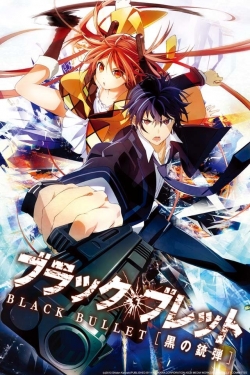 Watch free Black Bullet movies online