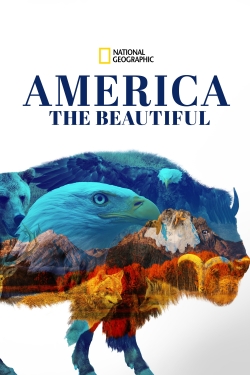 Watch free America the Beautiful movies online