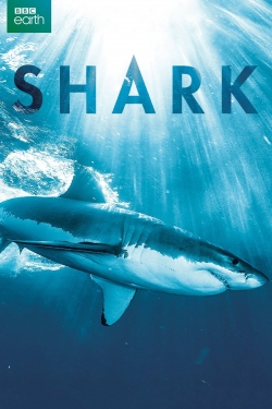 Watch free Shark movies online