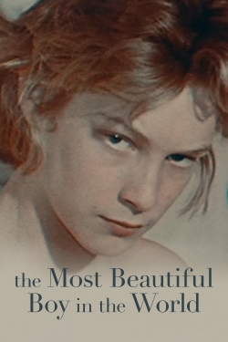 Watch free The Most Beautiful Boy in the World movies online