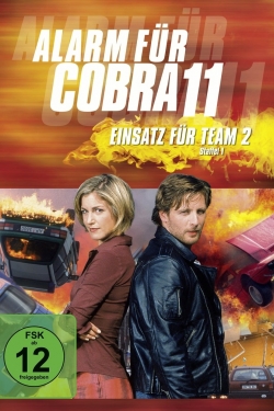 Watch free Alarm für Cobra 11 - Einsatz für Team 2 movies online