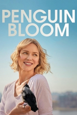 Watch free Penguin Bloom movies online