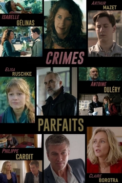 Watch free Crimes parfaits movies online