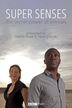 Watch free Super Senses: The Secret Power of Animals movies online