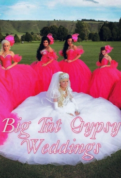 Watch free Big Fat Gypsy Weddings movies online