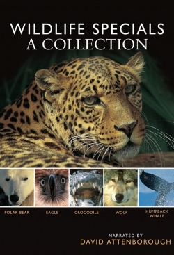 Watch free BBC Wildlife Specials movies online