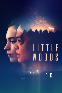 Watch free Little Woods movies online