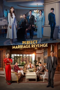 Watch free Perfect Marriage Revenge movies online