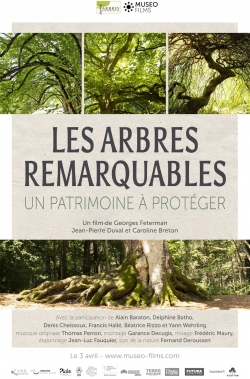 Watch free Les Arbres Remarquables, un patrimoine à protéger movies online