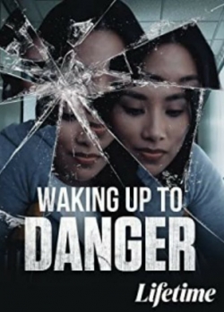 Watch free Waking Up To Danger movies online