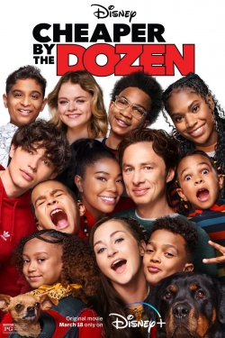 Watch free Cheaper by the Dozen movies online