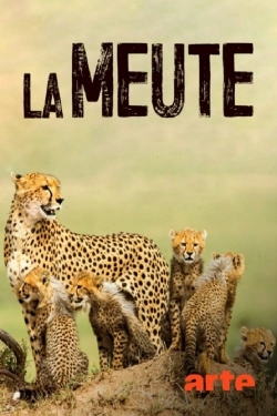 Watch free La Meute Cinq guépards dans le Serengeti movies online