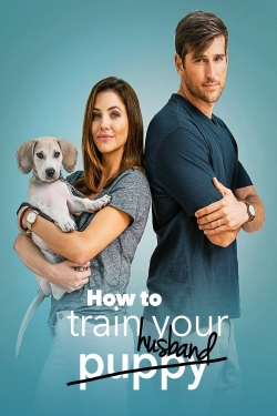 Watch free How to Train Your Husband movies online