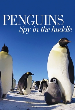 Watch free Penguins: Spy in the Huddle movies online