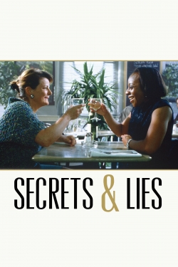 Watch free Secrets & Lies movies online