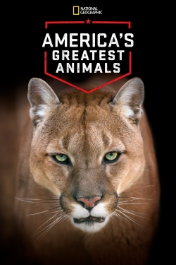 Watch free America's Greatest Animals movies online